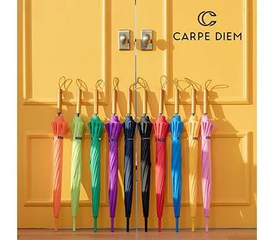 카르페디엠 스마트 55X12K 우드 장우산